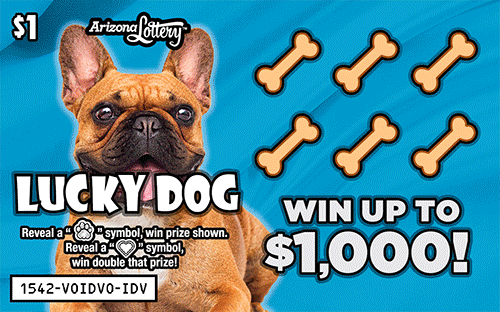 Lucky Dog