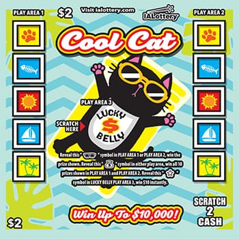 Cool Cat