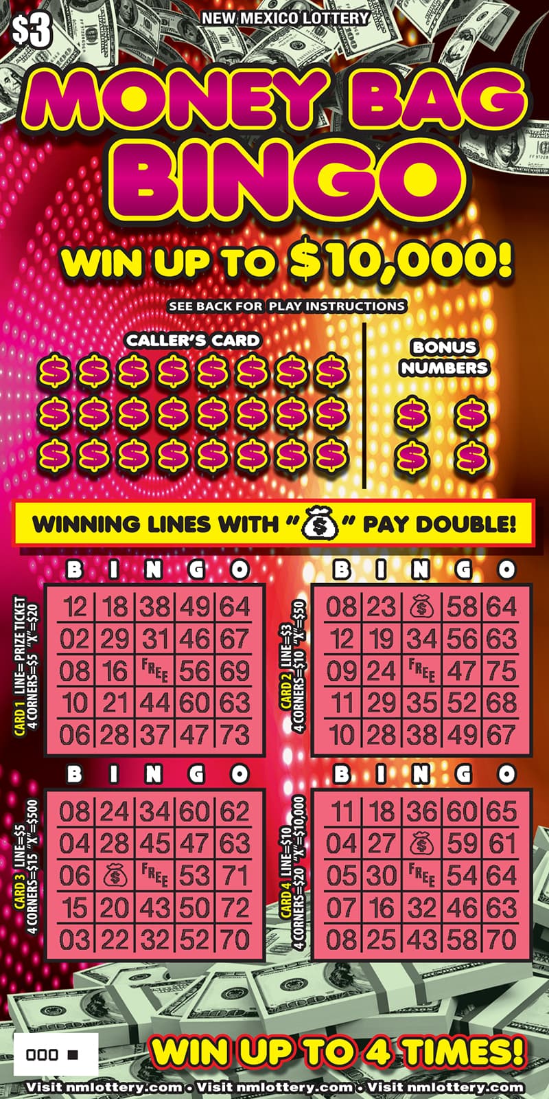 Money Bag Bingo